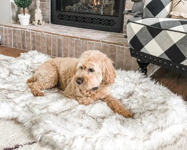 Faux Fur Orthopedic Dog Bed for Support